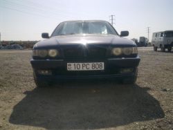 IMG_0991.jpeg