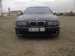 IMG_1007.jpeg