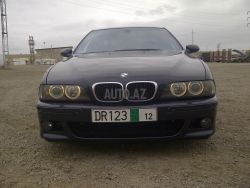 IMG_1009.jpeg