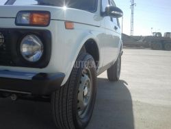 IMG_1012.jpeg