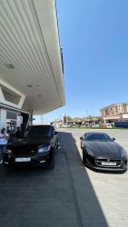 IMG_2986.jpeg