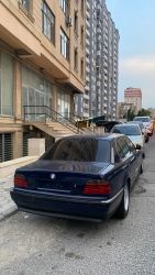 IMG_3955.jpeg