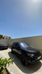 IMG_2981.jpeg