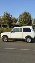 IMG_1786.jpeg