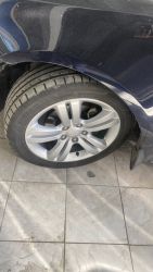 IMG_2150.jpeg