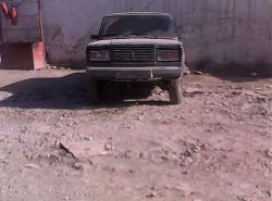 IMG_7017.jpeg