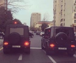 IMG_6175.jpeg