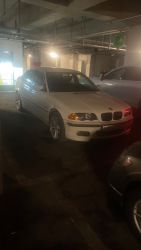 IMG_3970.jpeg