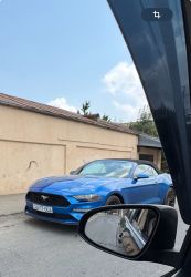 IMG_1959.jpeg