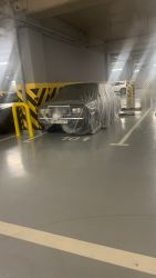 IMG_7534.thumb.jpeg.b9effc49c9e79631739f3940b33fa559.jpeg