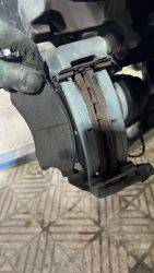 IMG_1298.jpeg