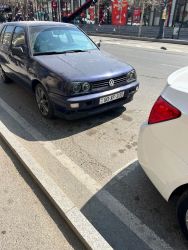 IMG_1955.jpeg