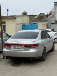 IMG_0207.jpeg