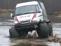 post-32-1141503566_thumb.jpg