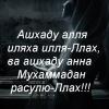 Турал88