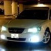 Aliev244