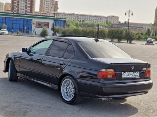 BMW
523
